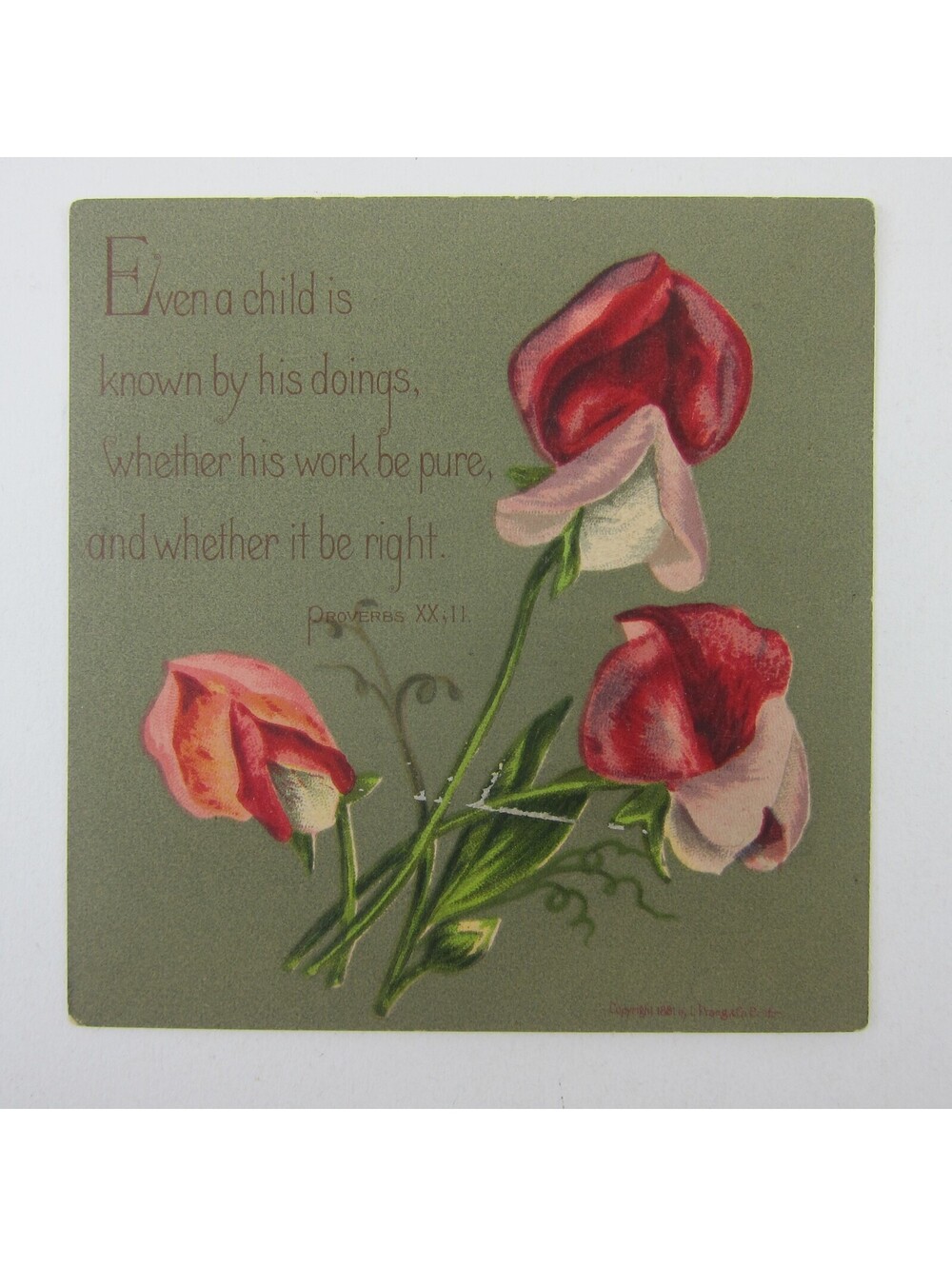 Victorian Greeting Card Proverbs Child Green Red & Pink Flowers Antique 1881